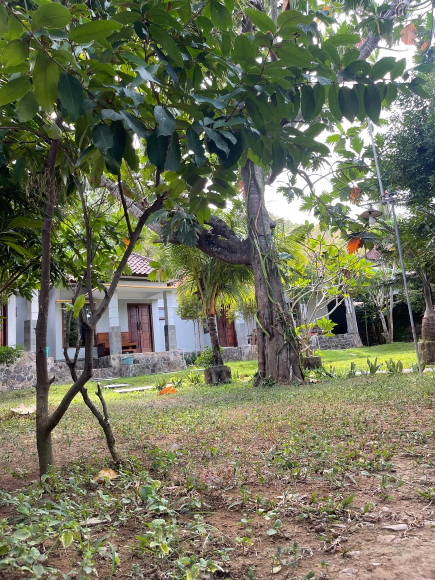 Tri Putri Homestay Kuta  Exterior foto